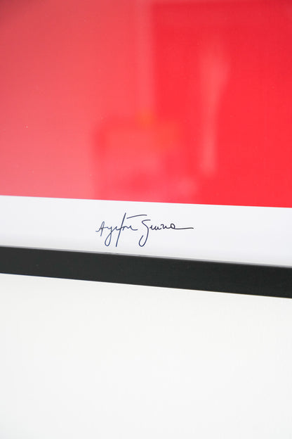 Framed Display for LEGO® ICONS™ McLaren MP4/4 [Wall Mounted]